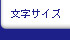 文字サイズ